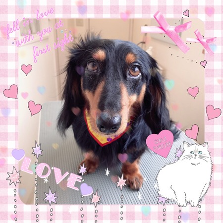 ５月２７日トリミング写真もえ