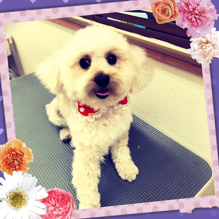 ４月２９日トリミング写真リアン