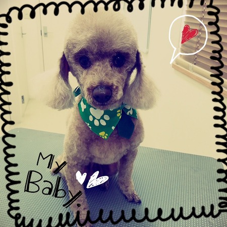 ５月１日トリミング写真クー