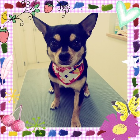 ５月８日トリミング写真マル