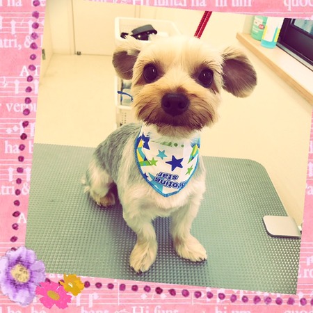 ５月９日トリミング写真ボイ