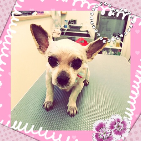 ５月１２日トリミング写真青空