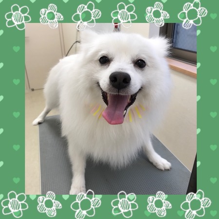 ５月１３日トリミング写真もも