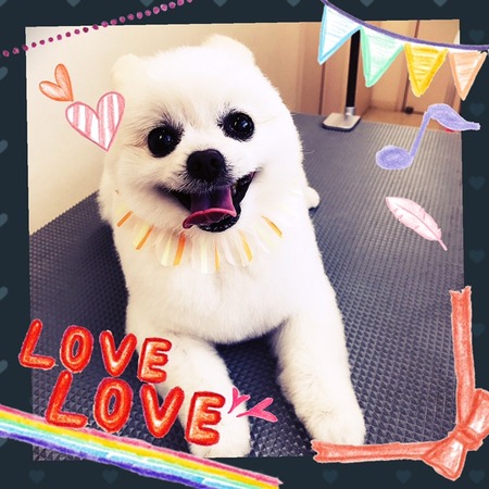 ５月１６日トリミング写真レナ