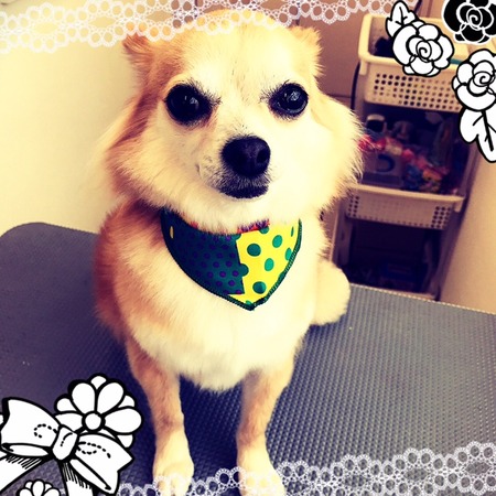 ５月２４日トリミング写真しょうた