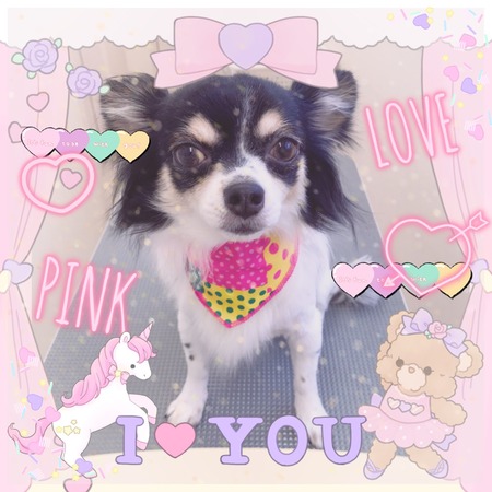 ５月２７日トリミング写真もこ