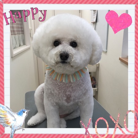 ５月１６日トリミング写真ルル