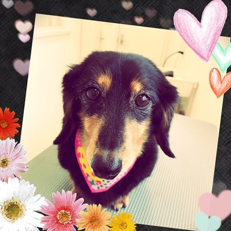 ５月２４日トリミング写真ライス