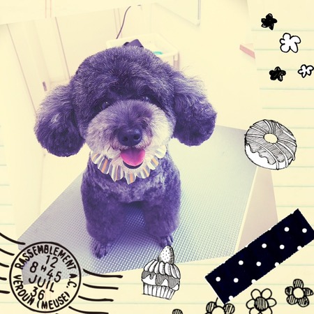 ５月１６日トリミング写真ナナ