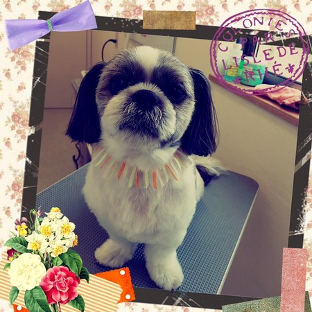 ５月２２日トリミング写真ロン