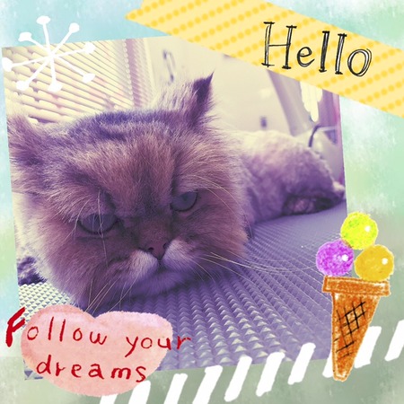 ５月１７日トリミング写真タロー