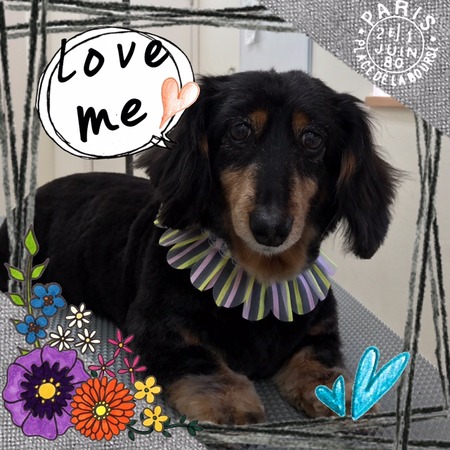 ５月２２ひ　トリミング写真まろん