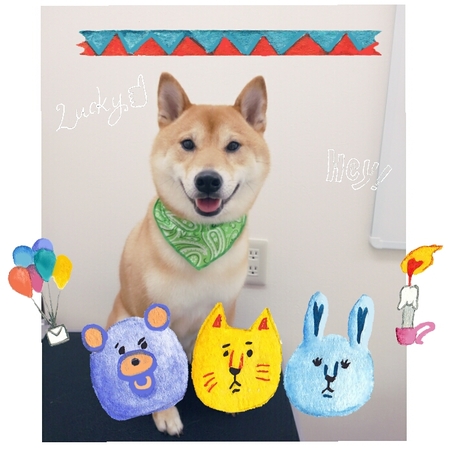 ６月３日トリミング写真ハム