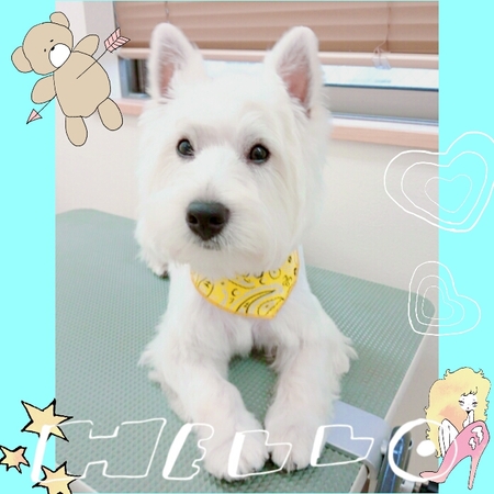 ６月４日トリミング写真コマ