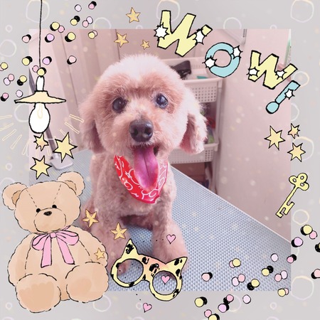 ５月３１日トリミング写真ココ