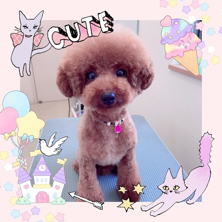 ６月３日トリミング写真モコ