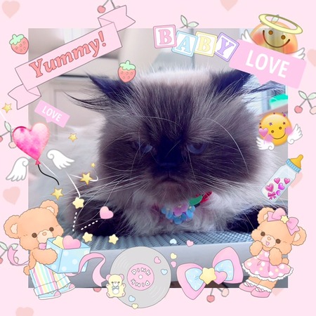 ６月７日トリミング写真ウメ