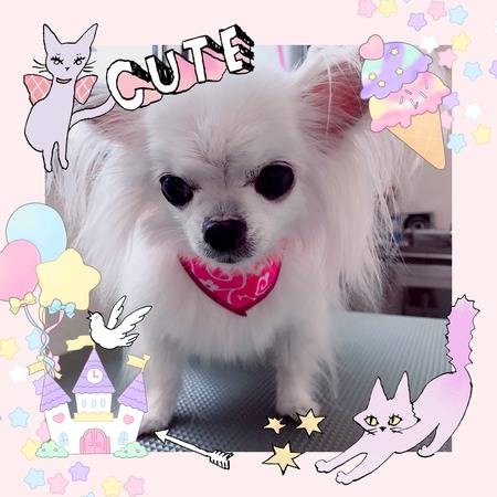 ５月３１日トリミング写真ルル