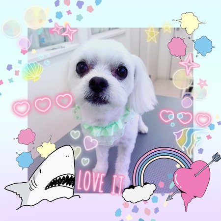 ５通期３１日トリミング写真ポテト