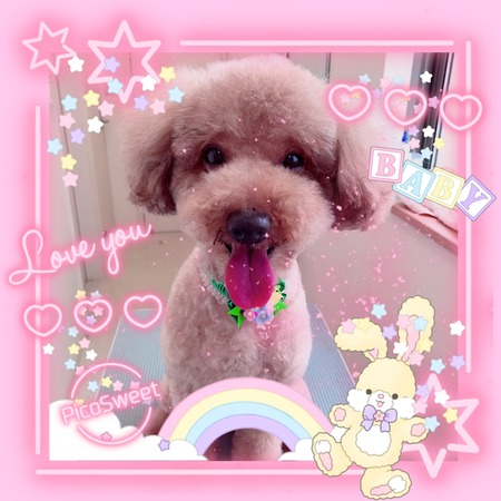 ６月６日トリミング写真ベル