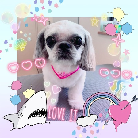 ５月３０日トリミング写真ひめ