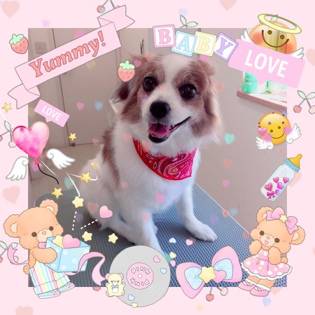 ５月３０日トリミング写真なつ